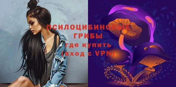 mdma Богданович